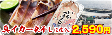 真イカ一夜干し(2枚入)
