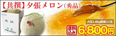 夕張メロン