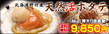 野付産活ホタテ4kg箱