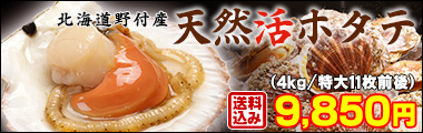 野付産活ホタテ