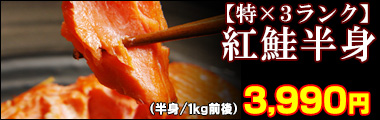 紅鮭半身