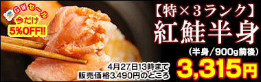 紅鮭半身