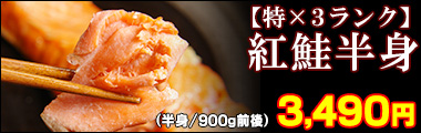 紅鮭半身