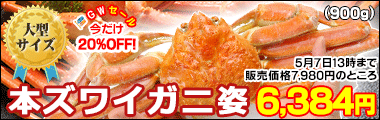 本ズワイガニ姿900g