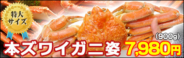 本ズワイガニ姿900g