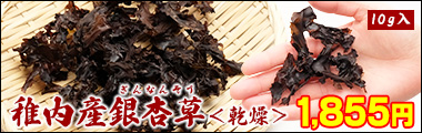 稚内産銀杏草＜乾燥＞