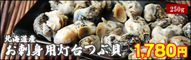 北海道産お刺身用ボイル灯台つぶ