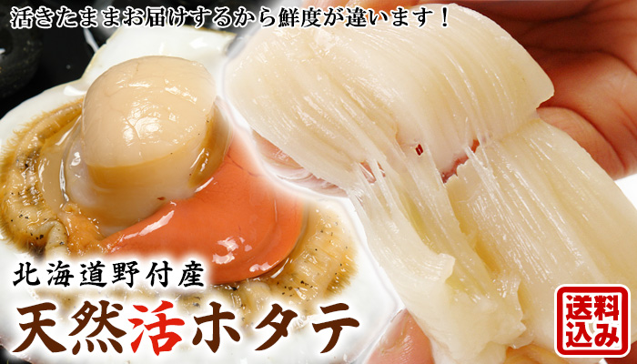 野付産活ホタテ