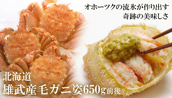 雄武産毛ガニ姿650g