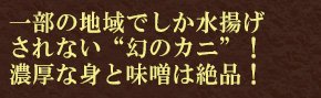 一部の地域でしか水揚げされない幻のカニ！濃厚な身と味噌は絶品！