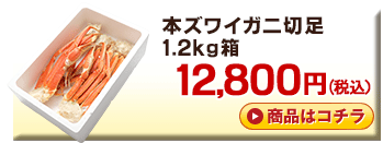 本ガニ切足 1.5kg箱