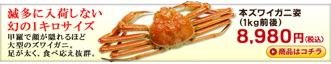 本ガニ 姿(1kg前後) 