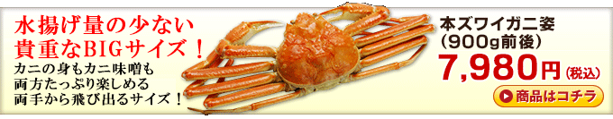 本ズワイガニ姿(900g前後) 