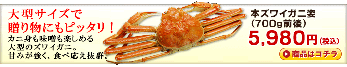 本ガニ 姿(700g前後) 