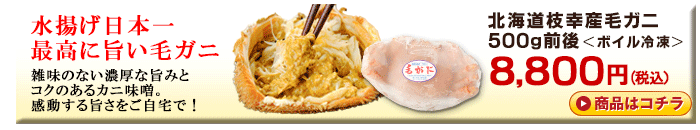 北海道枝幸産毛ガニ500g前後＜ボイル冷凍＞