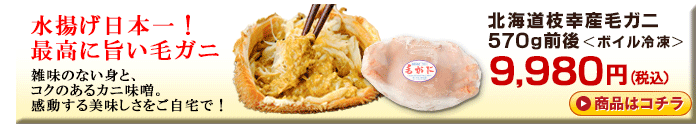 北海道枝幸産毛ガニ570g前後＜ボイル冷凍＞