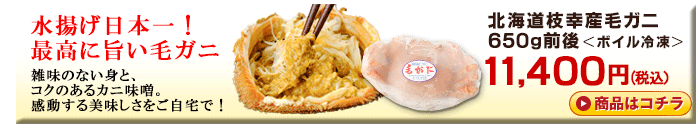 北海道枝幸産毛ガニ650g前後＜ボイル冷凍＞