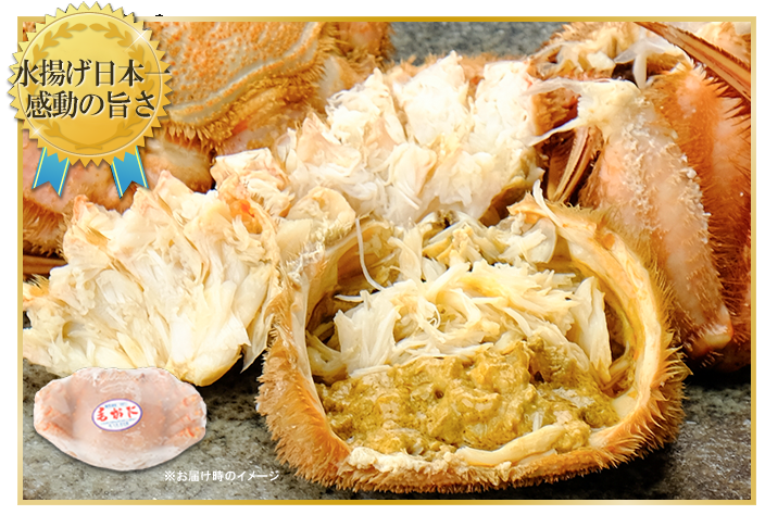 北海道枝幸産毛ガニ＜ボイル冷凍＞