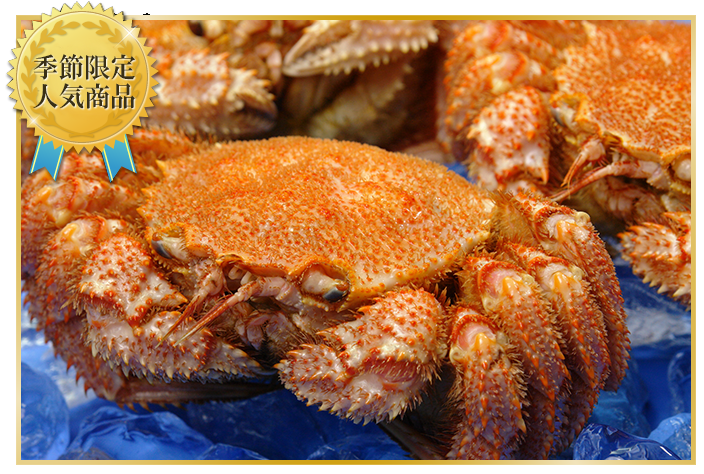 【当店一番人気】saihok「極」毛ガニ姿＜浜茹でチルド＞