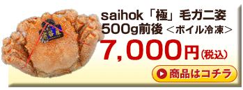 saihok「極」毛ガニ姿　500g前後＜ボイル冷凍＞