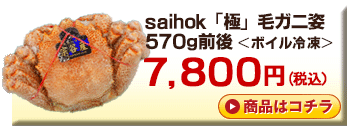 saihok「極」毛ガニ姿　570g前後＜ボイル冷凍＞