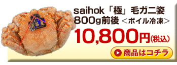 saihok「極」毛ガニ姿　800g前後＜ボイル冷凍＞