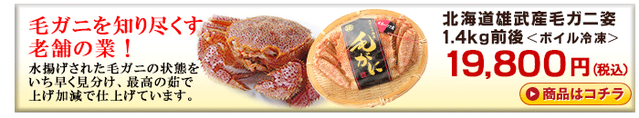 北海道雄武産毛ガニ1.4kg