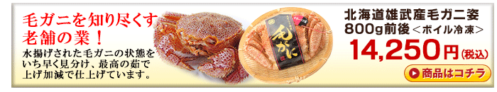 北海道雄武産毛ガニ800kg