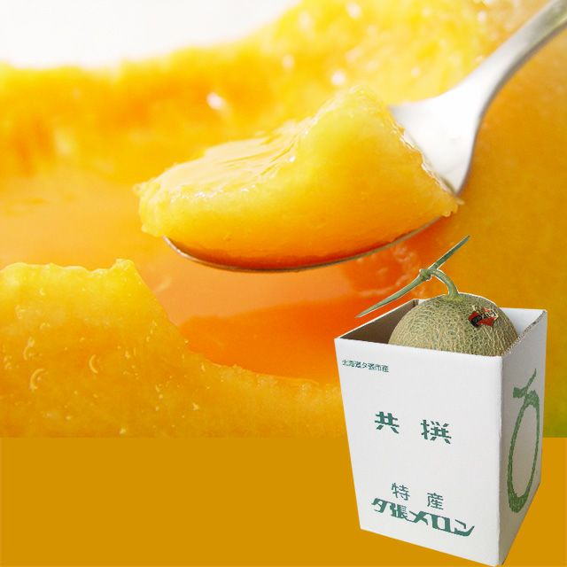 共撰】夕張メロン(秀品)大玉1.6kg前後×1玉の通販｜最北の海鮮市場