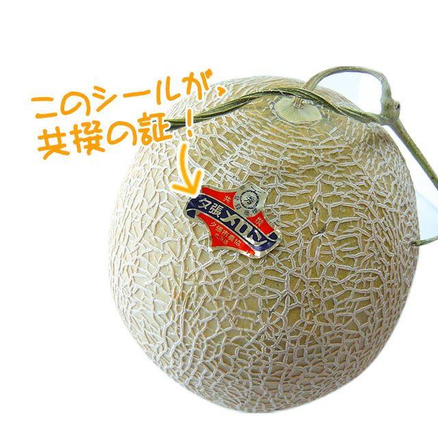 【共撰】夕張メロン（秀品）大玉1.6kg前後×1玉