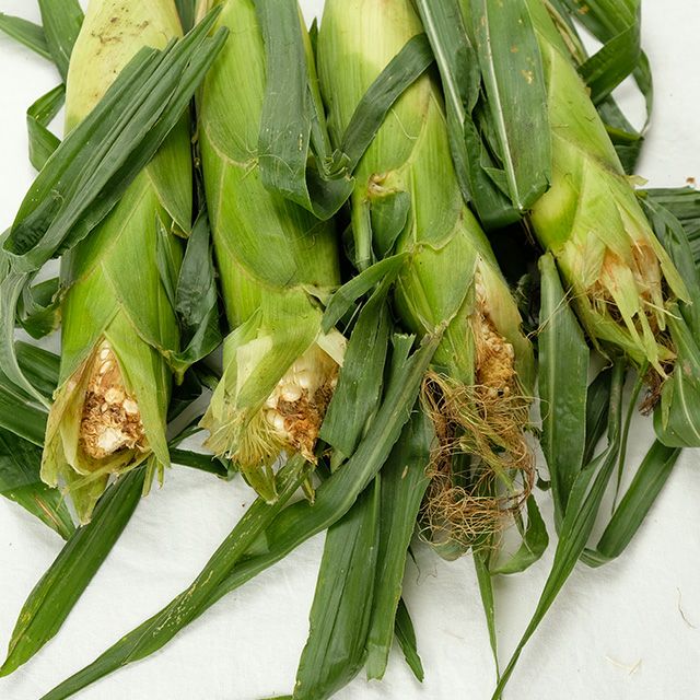 無選別・北海道産ピュアホワイトMIX20本