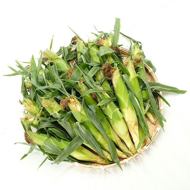 無選別・北海道産ピュアホワイトMIX20本