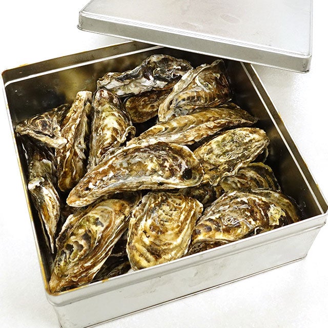 カンカン蒸し牡蠣2kg＜生冷蔵＞