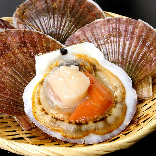 北海道野付産「活」ホタテ2kg箱(特大6枚前後)＜生冷蔵＞