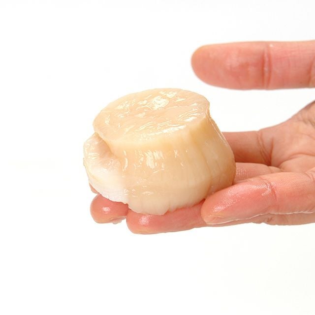 北海道野付産「活」ホタテ4kg箱(特大11枚前後)＜生冷蔵＞