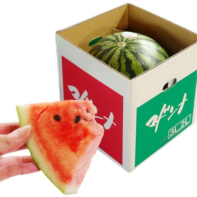 北海道産マドンナすいか3Lサイズ×1玉(秀品)の通販｜最北の海鮮市場