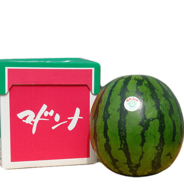 北海道産 マドンナスイカ 3Lサイズ 1玉 すいか 北海道産マドンナすいか3Lサイズ×1玉(秀品)の通販｜最北の海鮮市場