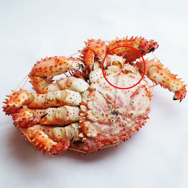 【セール】北海道産花咲蟹姿800g前後＜ボイル冷凍＞