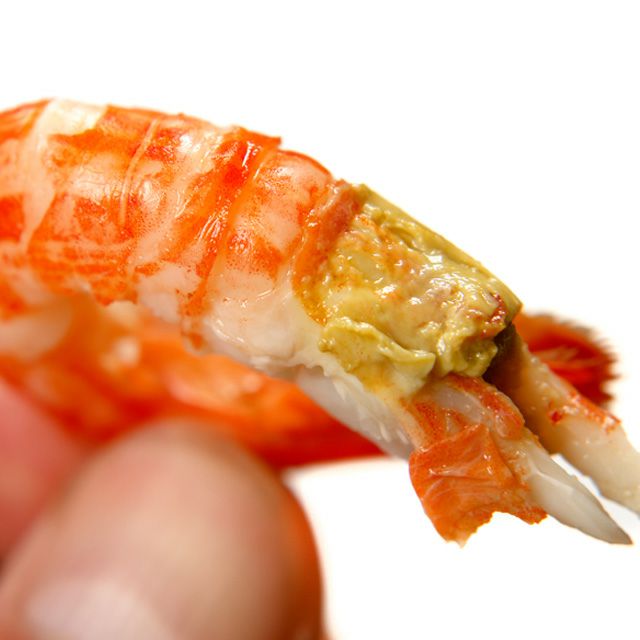 北海シマエビ500g（35-40尾前後）＜浜茹で・チルド＞