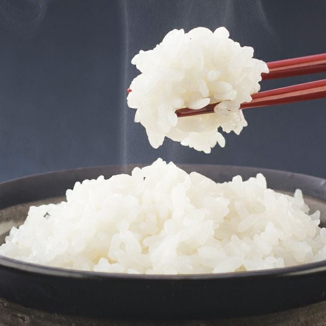 JAぴっぷ町「ななつぼし」(白米)20kgの通販｜最北の海鮮市場