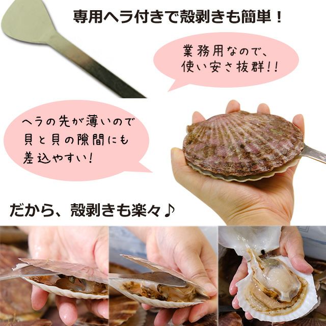 北海道猿払産「活」若ホタテ4kg箱