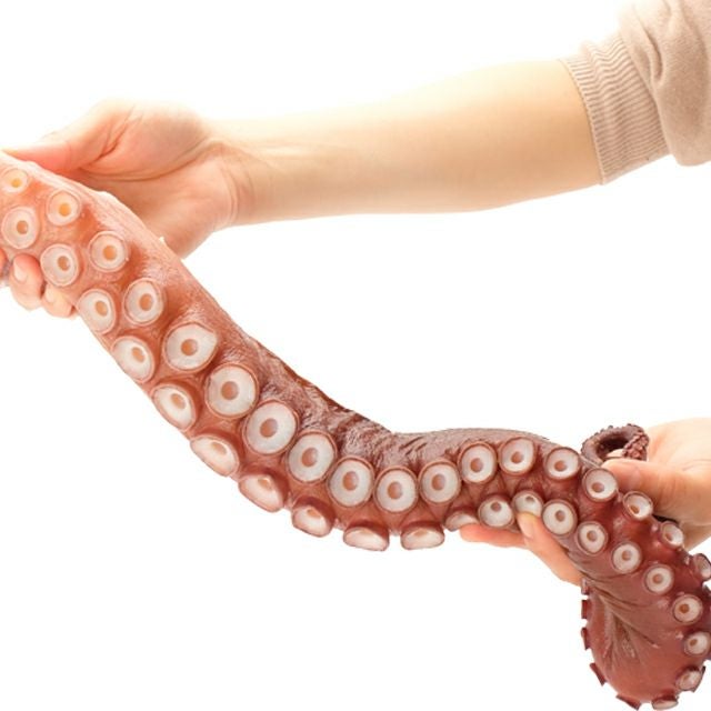 000000001345-01.jpg?size=l&w=