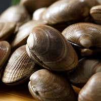北海道根室産「大」あさり1kg＜生冷蔵＞