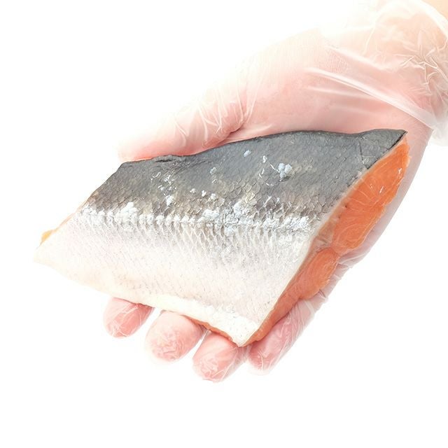 北海道産活〆トキシラズ(カマ・しっぽ)＜生冷凍＞