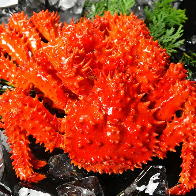 北海道根室産花咲蟹姿660g前後×2尾＜浜茹で・チルド＞の通販｜最北の