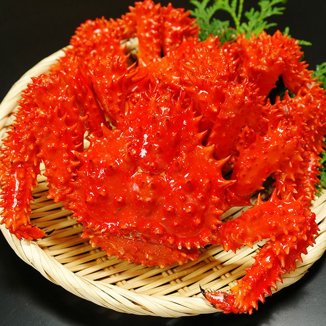 北海道根室産花咲蟹姿660g前後×2尾＜浜茹で・チルド＞