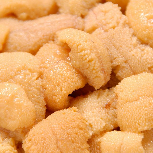北海道産キタムラサキウニ塩水パック100g