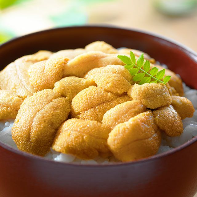 北海道産キタムラサキウニ塩水パック100g×3