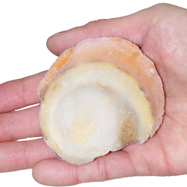 業務用北海道産ボイルホタテ500g