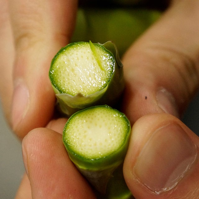 美唄産「春採り」グリーンアスパラ